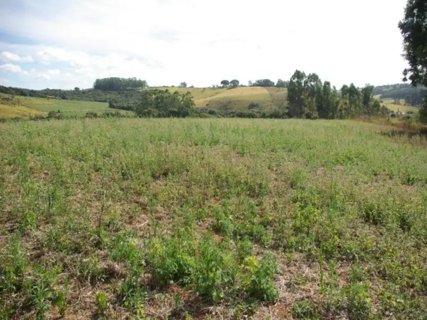 Sítio / Rancho à venda em Jacui, MG - imagem 1 Foto 1 de Sítio / Rancho à venda em Jacui, MG