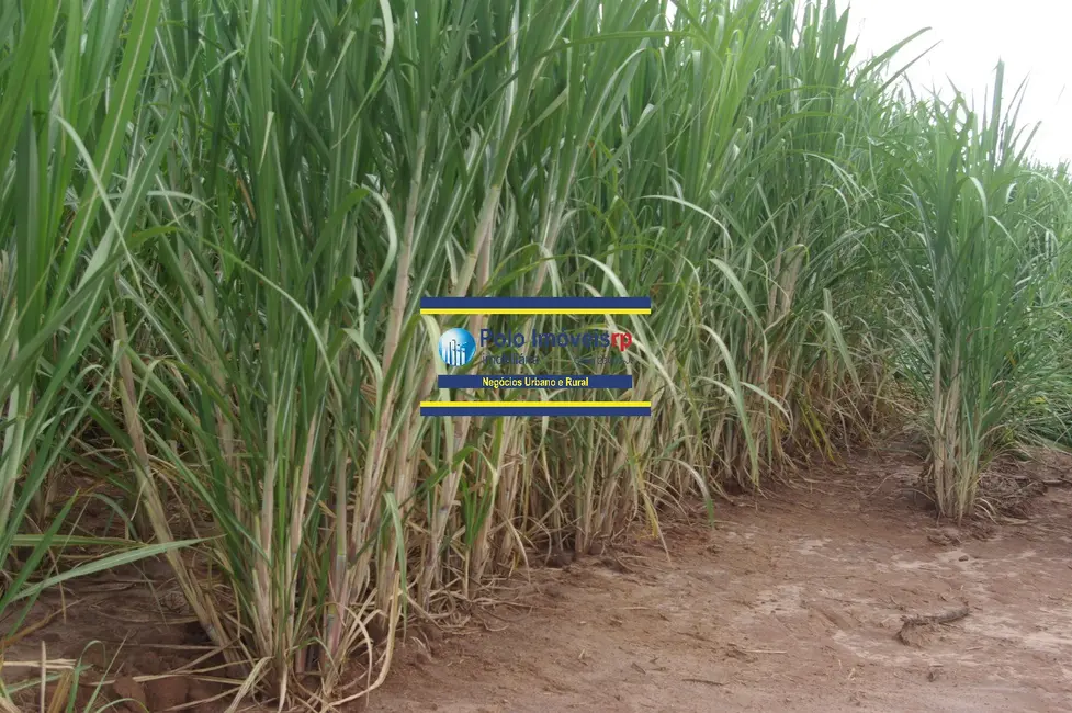 Foto 8 de Sítio / Rancho à venda, 25m2 em Sao Sebastiao Do Paraiso - MG