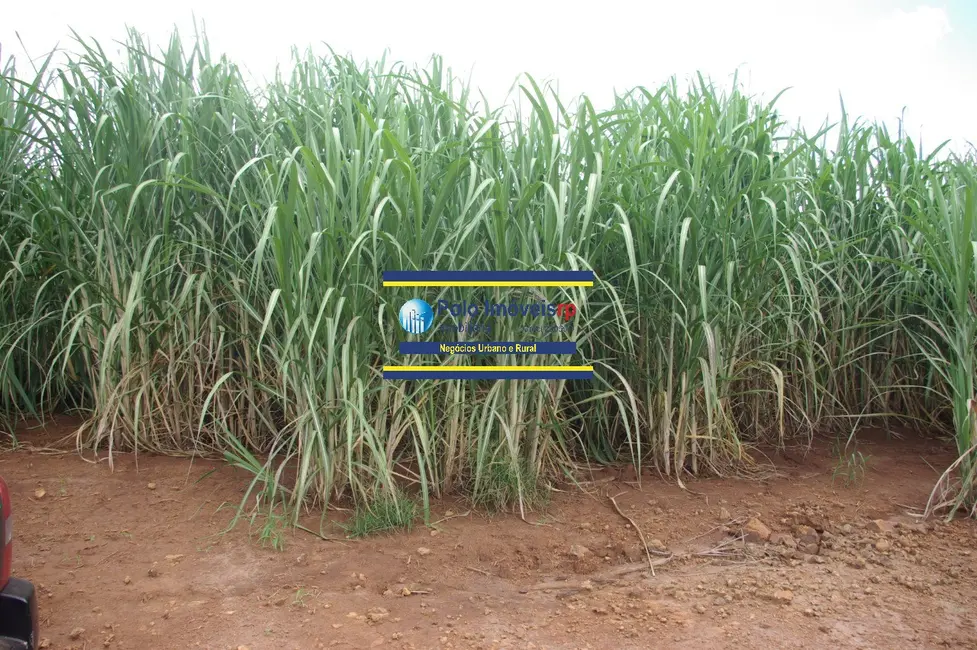 Foto 3 de Sítio / Rancho à venda, 25m2 em Sao Sebastiao Do Paraiso - MG