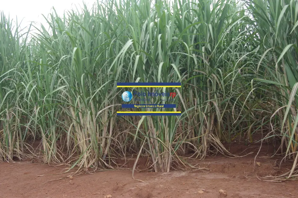 Foto 5 de Sítio / Rancho à venda, 25m2 em Sao Sebastiao Do Paraiso - MG