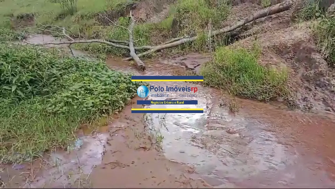 Foto 6 de Fazenda / Haras com 2 quartos à venda, 40m2 em Santo Antonio Da Alegria - SP