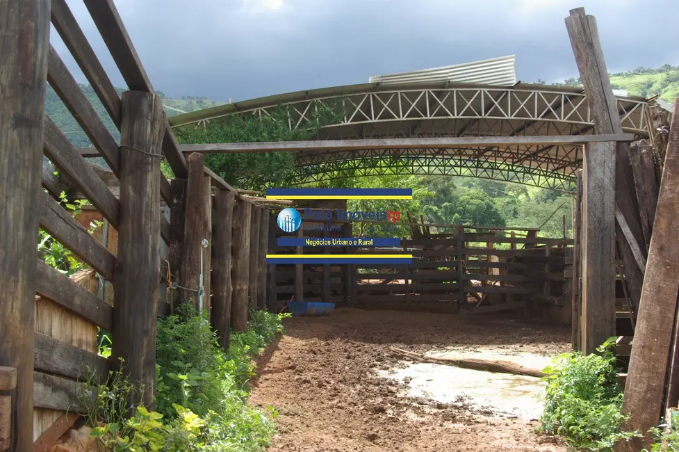 Foto 5 de Fazenda / Haras com 2 quartos à venda, 40m2 em Santo Antonio Da Alegria - SP