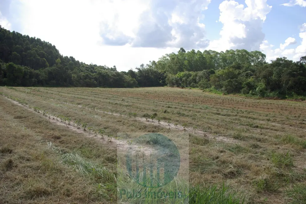 Fazenda / Haras com 2 quartos à venda, 54m2 em Sao Sebastiao Do Paraiso - MG - imagem 6 Foto 6 de Fazenda / Haras com 2 quartos à venda, 54m2 em Sao Sebastiao Do Paraiso - MG
