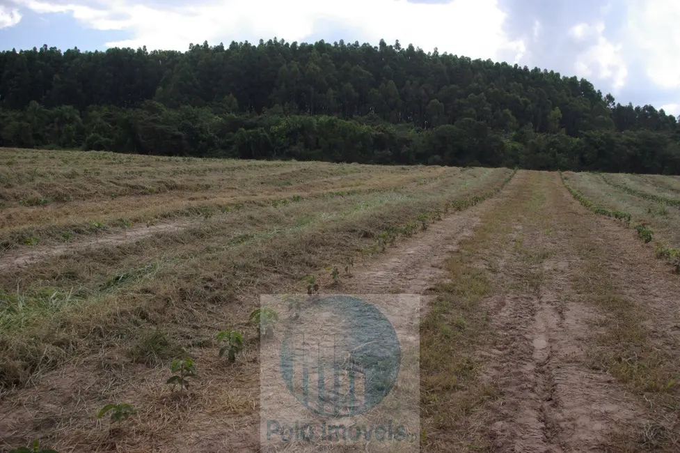Fazenda / Haras com 2 quartos à venda, 54m2 em Sao Sebastiao Do Paraiso - MG - imagem 4 Foto 4 de Fazenda / Haras com 2 quartos à venda, 54m2 em Sao Sebastiao Do Paraiso - MG