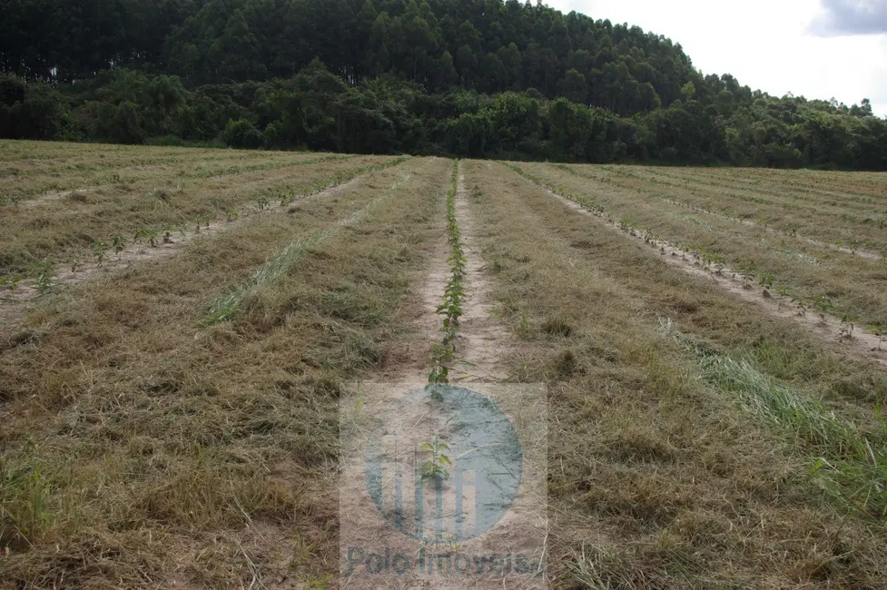 Foto 1 de Fazenda / Haras com 2 quartos à venda, 54m2 em Sao Sebastiao Do Paraiso - MG