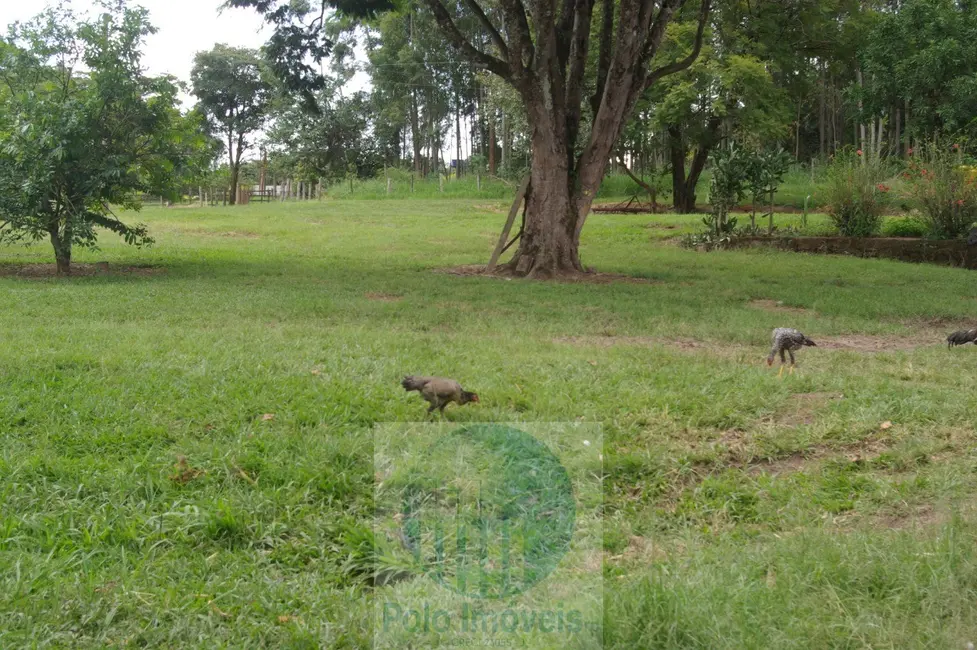 Fazenda / Haras com 2 quartos à venda, 54m2 em Sao Sebastiao Do Paraiso - MG - imagem 7 Foto 7 de Fazenda / Haras com 2 quartos à venda, 54m2 em Sao Sebastiao Do Paraiso - MG