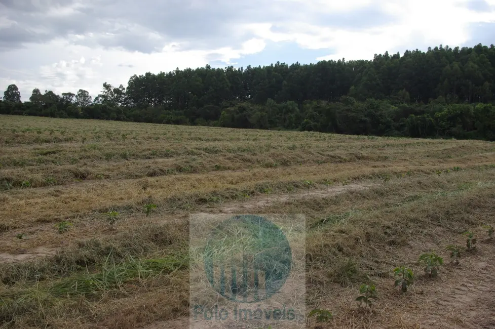 Fazenda / Haras com 2 quartos à venda, 54m2 em Sao Sebastiao Do Paraiso - MG - imagem 3 Foto 3 de Fazenda / Haras com 2 quartos à venda, 54m2 em Sao Sebastiao Do Paraiso - MG