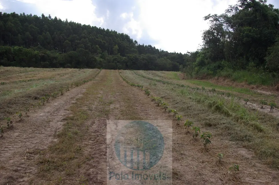 Fazenda / Haras com 2 quartos à venda, 54m2 em Sao Sebastiao Do Paraiso - MG - imagem 5 Foto 5 de Fazenda / Haras com 2 quartos à venda, 54m2 em Sao Sebastiao Do Paraiso - MG