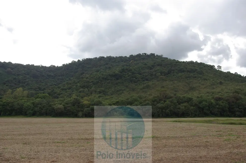 Sítio / Rancho à venda, 8m2 em Jacui - MG - imagem 9 Foto 9 de Sítio / Rancho à venda, 8m2 em Jacui - MG