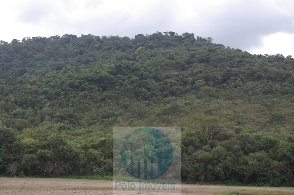 Sítio / Rancho à venda, 8m2 em Jacui - MG - imagem 2 Foto 2 de Sítio / Rancho à venda, 8m2 em Jacui - MG