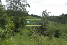 Imagem 11