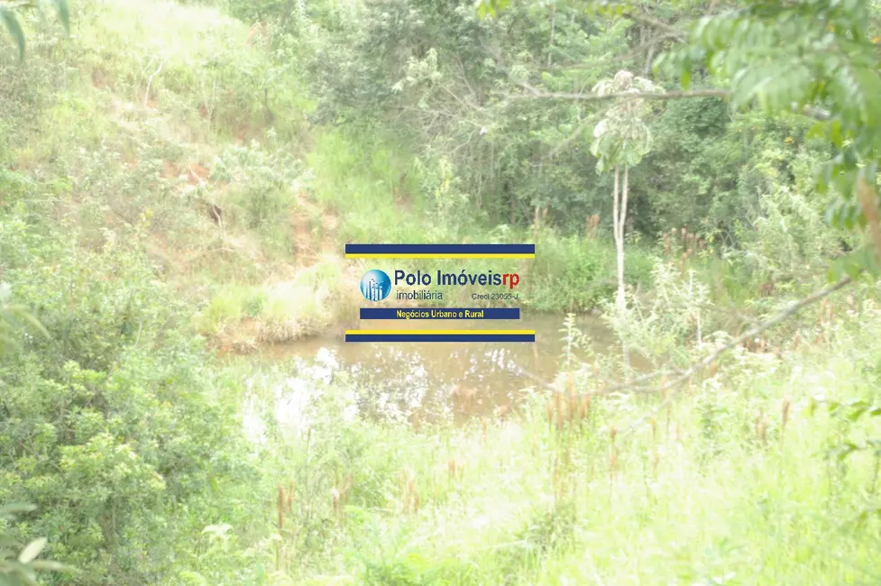Sítio / Rancho à venda em Jacui - MG - imagem 5 Foto 5 de Sítio / Rancho à venda em Jacui - MG