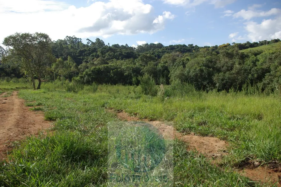 Sítio / Rancho com 1 quarto à venda, 10m2 em Jacui - MG - imagem 8 Foto 8 de Sítio / Rancho com 1 quarto à venda, 10m2 em Jacui - MG