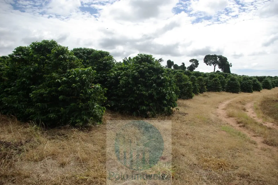 Sítio / Rancho com 2 quartos à venda em Jacui - MG - imagem 6 Foto 6 de Sítio / Rancho com 2 quartos à venda em Jacui - MG
