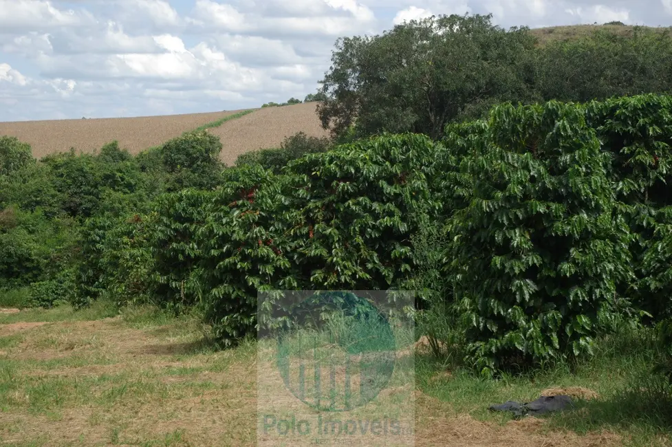 Fazenda / Haras com 2 quartos à venda, 58m2 em Jacui - MG - imagem 3 Foto 3 de Fazenda / Haras com 2 quartos à venda, 58m2 em Jacui - MG
