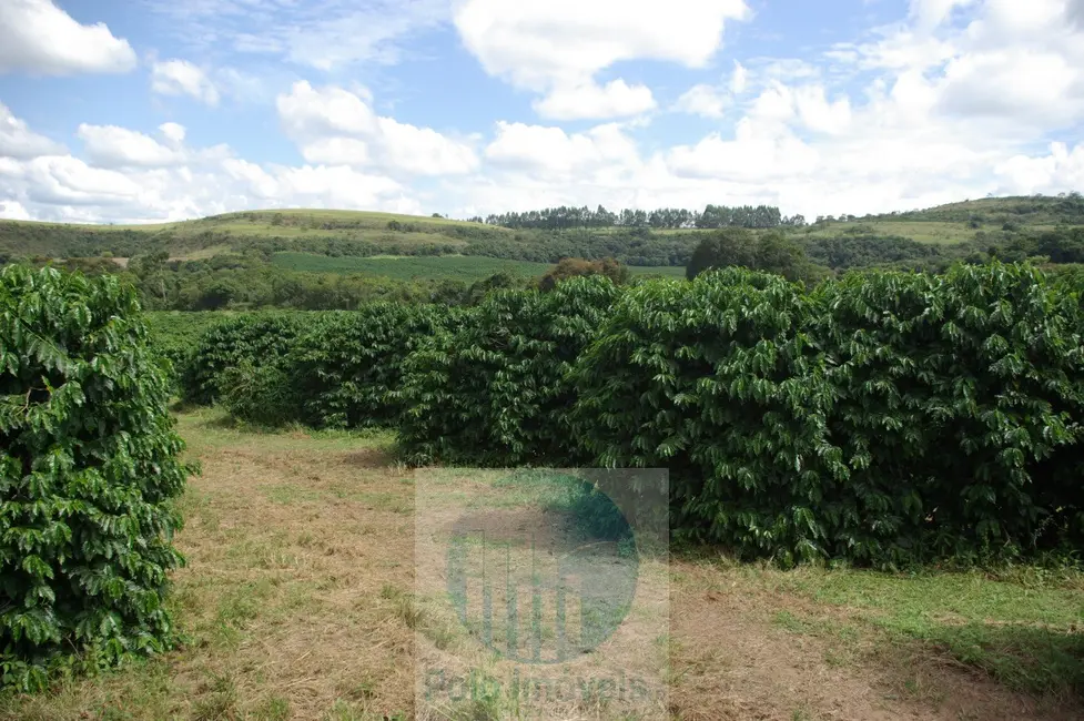 Fazenda / Haras com 2 quartos à venda, 58m2 em Jacui - MG - imagem 4 Foto 4 de Fazenda / Haras com 2 quartos à venda, 58m2 em Jacui - MG