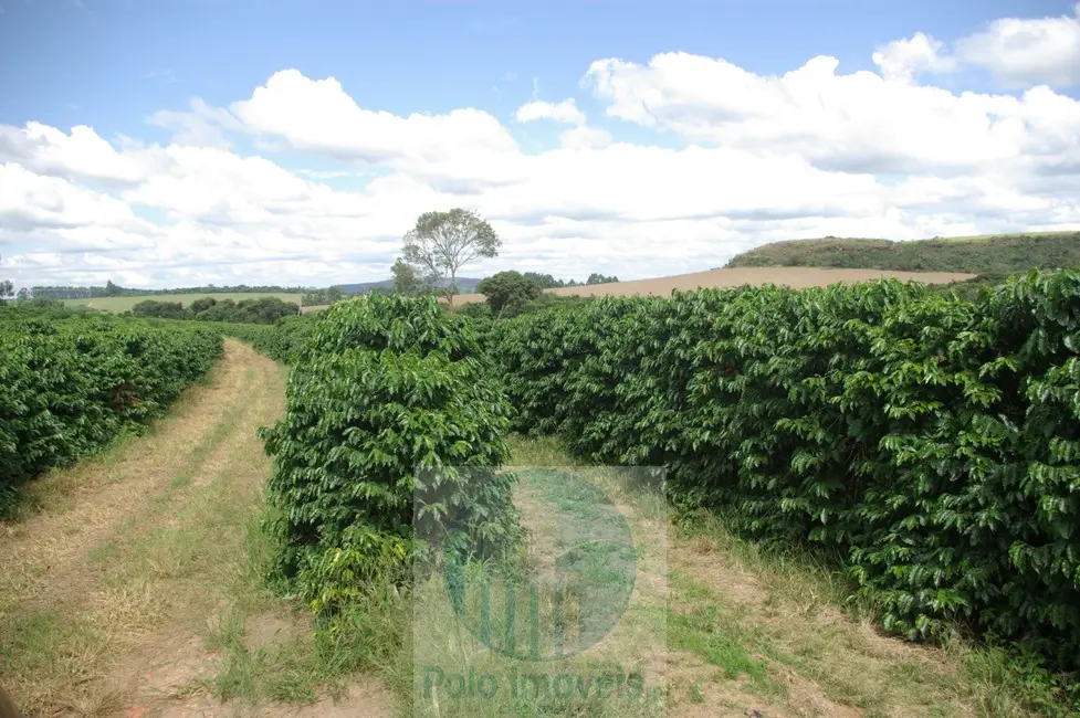 Fazenda / Haras com 2 quartos à venda, 58m2 em Jacui - MG - imagem 5 Foto 5 de Fazenda / Haras com 2 quartos à venda, 58m2 em Jacui - MG