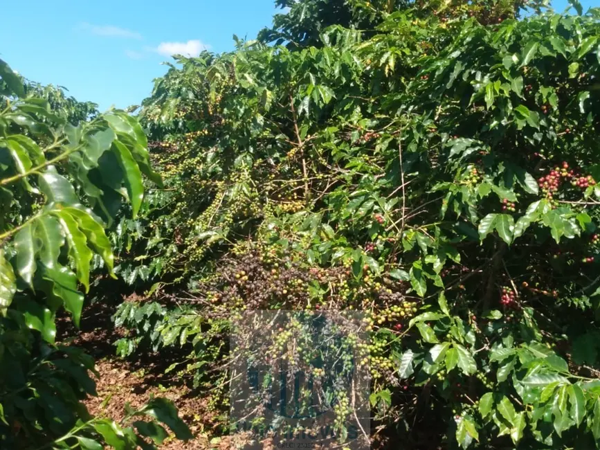 Foto 1 de Sítio / Rancho à venda em Jacui - MG