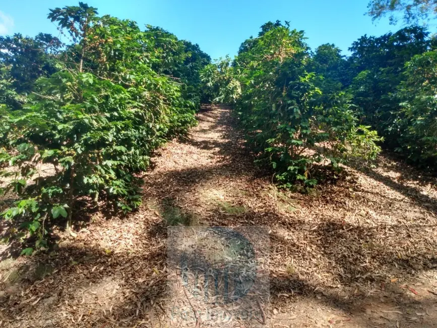Sítio / Rancho à venda em Jacui - MG - imagem 6 Foto 6 de Sítio / Rancho à venda em Jacui - MG