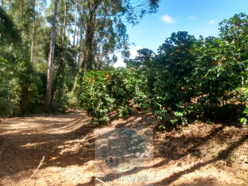 Sítio / Rancho à venda em Jacui - MG - imagem 5 Foto 5 de Sítio / Rancho à venda em Jacui - MG