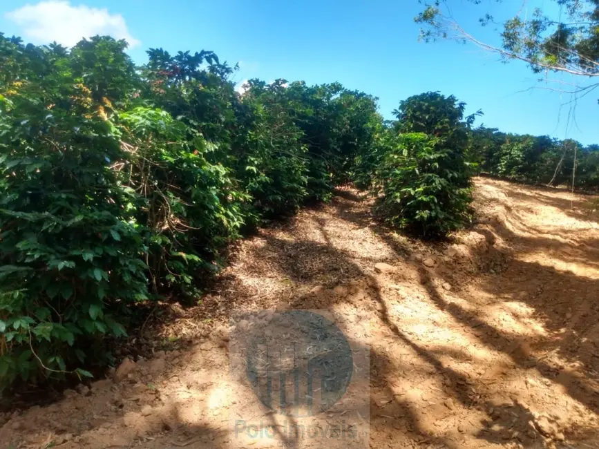 Sítio / Rancho à venda em Jacui - MG - imagem 4 Foto 4 de Sítio / Rancho à venda em Jacui - MG