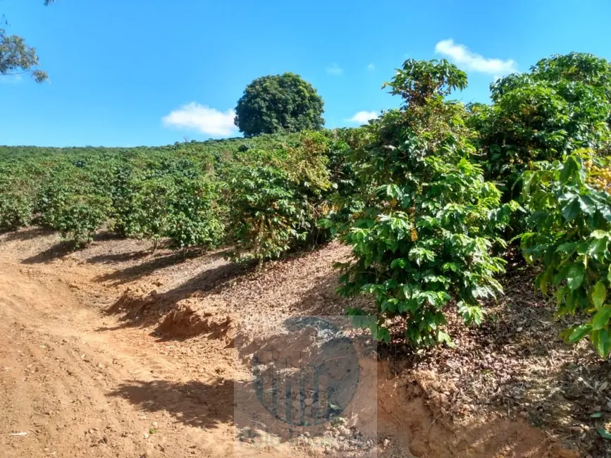 Sítio / Rancho à venda em Jacui - MG - imagem 9 Foto 9 de Sítio / Rancho à venda em Jacui - MG