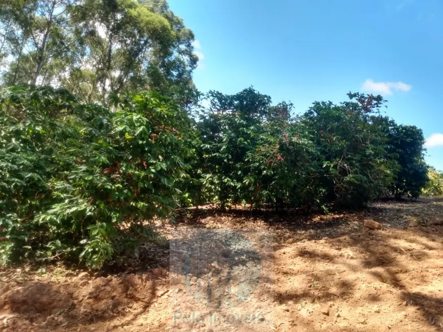 Sítio / Rancho à venda em Jacui - MG - imagem 3 Foto 3 de Sítio / Rancho à venda em Jacui - MG