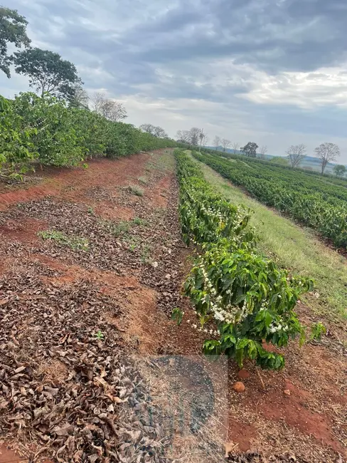 Sítio / Rancho com 3 quartos à venda, 11m2 em Sao Sebastiao Do Paraiso - MG - imagem 9 Foto 9 de Sítio / Rancho com 3 quartos à venda, 11m2 em Sao Sebastiao Do Paraiso - MG
