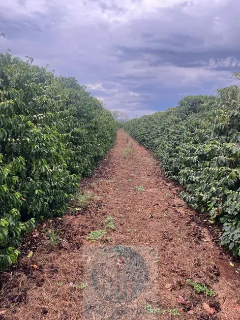 Sítio / Rancho com 3 quartos à venda, 11m2 em Sao Sebastiao Do Paraiso - MG - imagem 7 Foto 7 de Sítio / Rancho com 3 quartos à venda, 11m2 em Sao Sebastiao Do Paraiso - MG