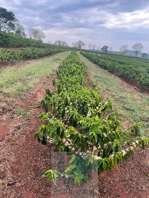 Sítio / Rancho com 3 quartos à venda, 11m2 em Sao Sebastiao Do Paraiso - MG - imagem 8 Foto 8 de Sítio / Rancho com 3 quartos à venda, 11m2 em Sao Sebastiao Do Paraiso - MG