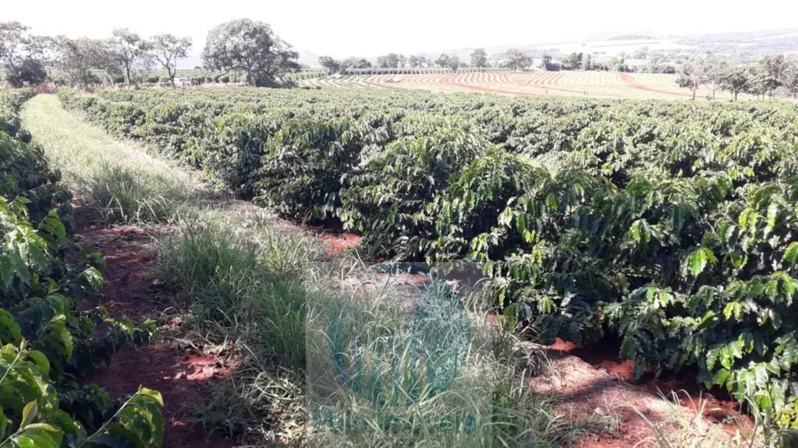 Sítio / Rancho com 3 quartos à venda, 11m2 em Sao Sebastiao Do Paraiso - MG - imagem 6 Foto 6 de Sítio / Rancho com 3 quartos à venda, 11m2 em Sao Sebastiao Do Paraiso - MG