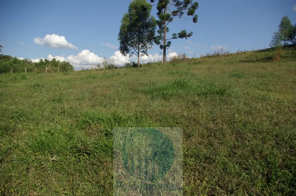 Sítio / Rancho com 3 quartos à venda, 14m2 em Jacui - MG - imagem 7 Foto 7 de Sítio / Rancho com 3 quartos à venda, 14m2 em Jacui - MG