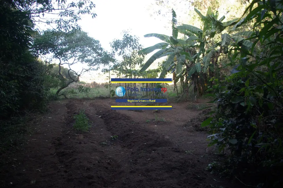 Foto 8 de Chácara com 1 quarto à venda, 19700m2 em Muzambinho - MG
