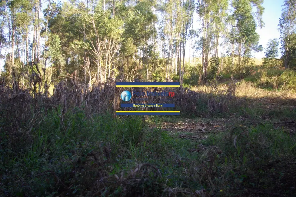 Foto 6 de Chácara com 1 quarto à venda, 19700m2 em Muzambinho - MG