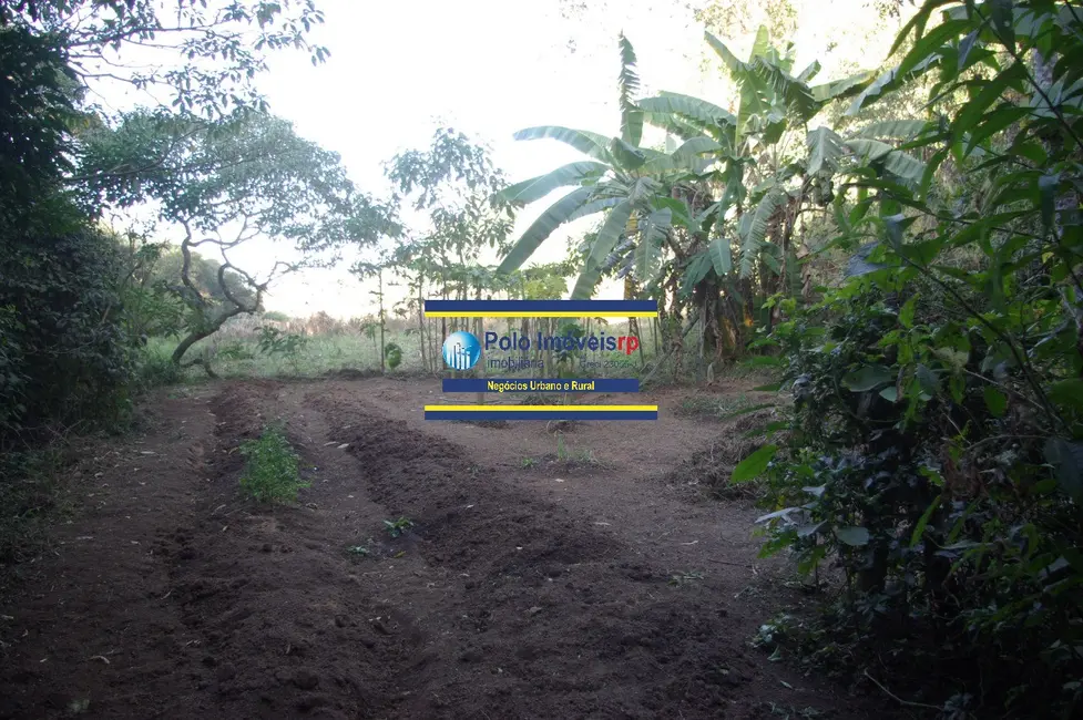 Foto 9 de Chácara com 1 quarto à venda, 19700m2 em Muzambinho - MG