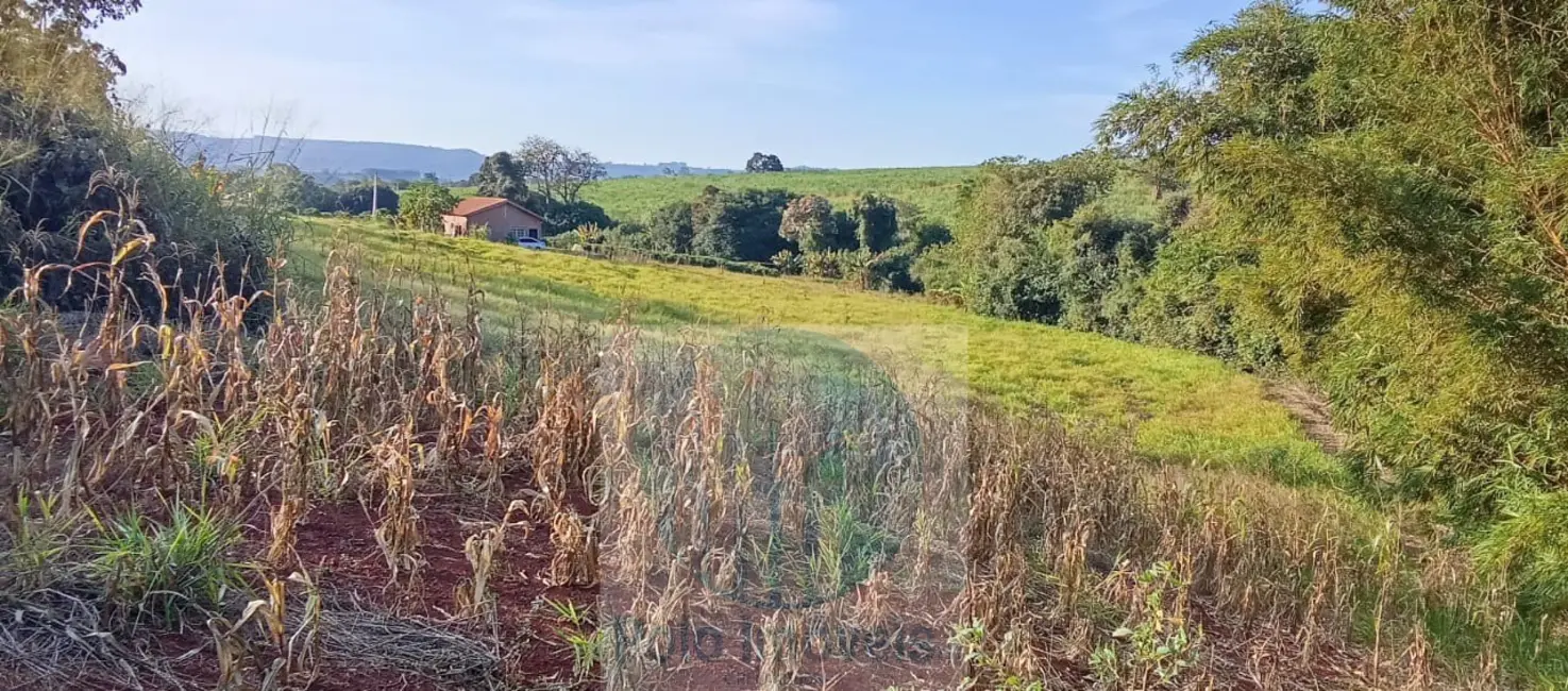 Foto 4 de Chácara com 2 quartos à venda, 10000m2 em Santo Antonio Da Alegria - SP