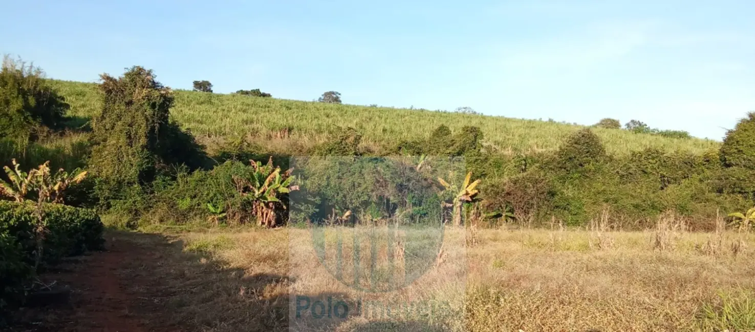 Foto 2 de Chácara com 2 quartos à venda, 10000m2 em Santo Antonio Da Alegria - SP