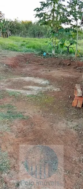 Foto 8 de Chácara com 2 quartos à venda, 10000m2 em Santo Antonio Da Alegria - SP