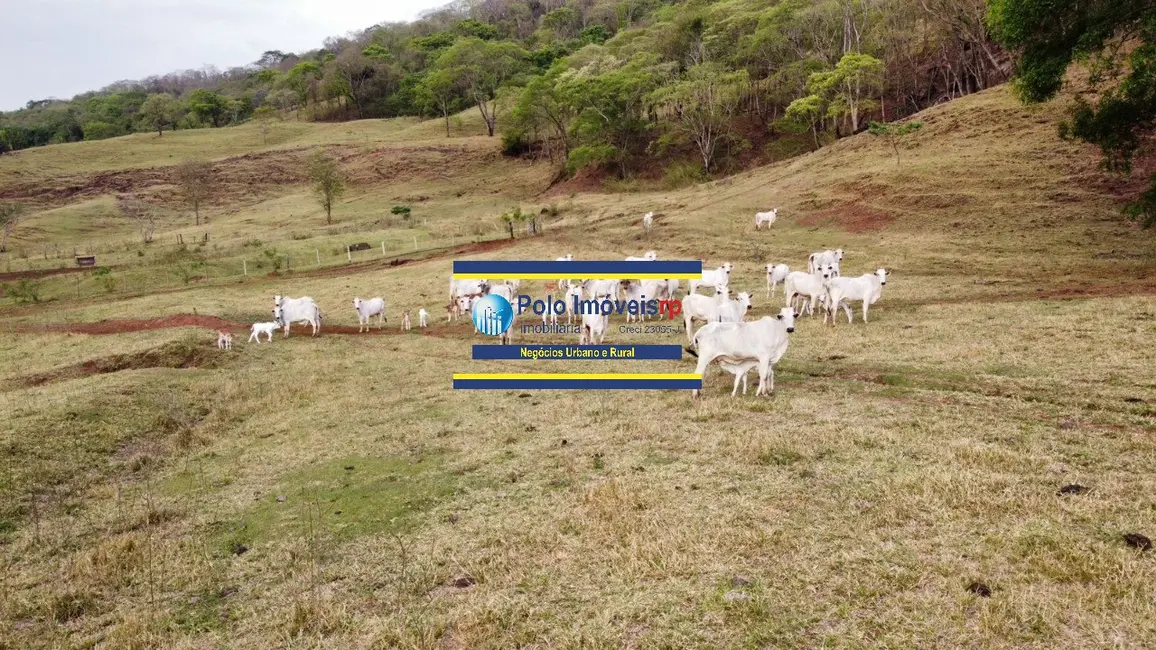 Foto 4 de Fazenda / Haras com 6 quartos à venda, 181m2 em Centro, Batatais - SP