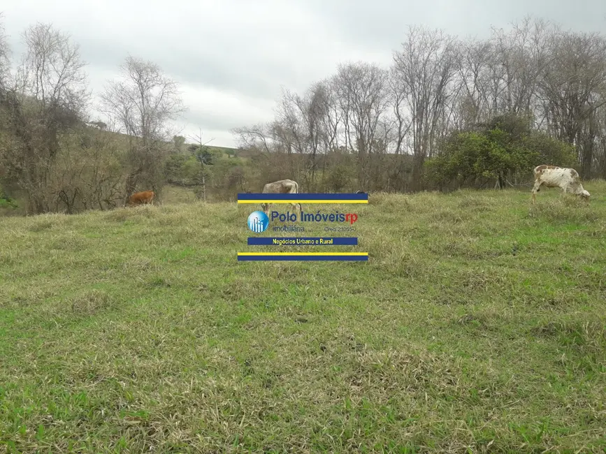 Foto 3 de Sítio / Rancho com 4 quartos à venda, 250m2 em Sao Tomas De Aquino - MG