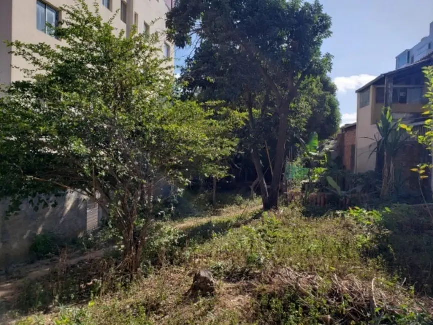 Terreno / Lote à venda, 360m2 em Belo Horizonte - MG - imagem 4 Foto 4 de Terreno / Lote à venda, 360m2 em Belo Horizonte - MG