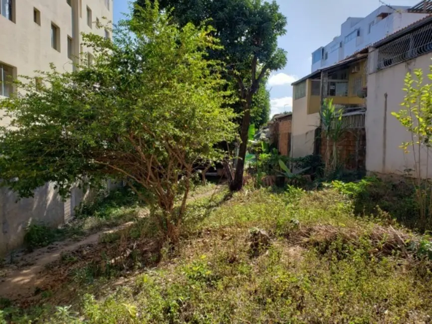 Terreno / Lote à venda, 360m2 em Belo Horizonte - MG - imagem 6 Foto 6 de Terreno / Lote à venda, 360m2 em Belo Horizonte - MG
