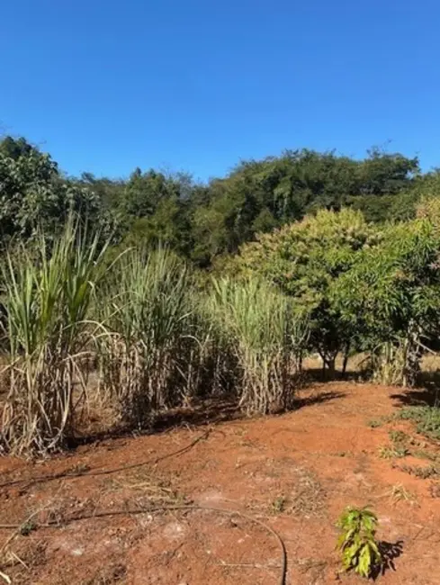 Sítio / Rancho com 2 quartos à venda, 100m2 em Pedro Leopoldo - MG - imagem 8 Foto 8 de Sítio / Rancho com 2 quartos à venda, 100m2 em Pedro Leopoldo - MG