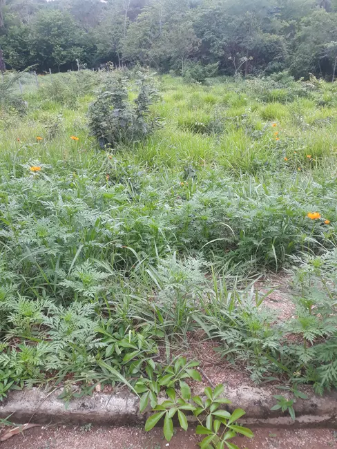 Foto 4 de Terreno / Lote à venda, 1518m2 em Jaboticatubas - MG