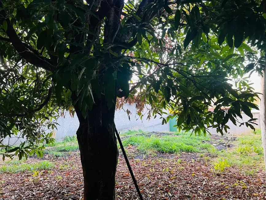 Terreno / Lote à venda, 360m2 em Ribeirao Das Neves - MG - imagem 6 Foto 6 de Terreno / Lote à venda, 360m2 em Ribeirao Das Neves - MG