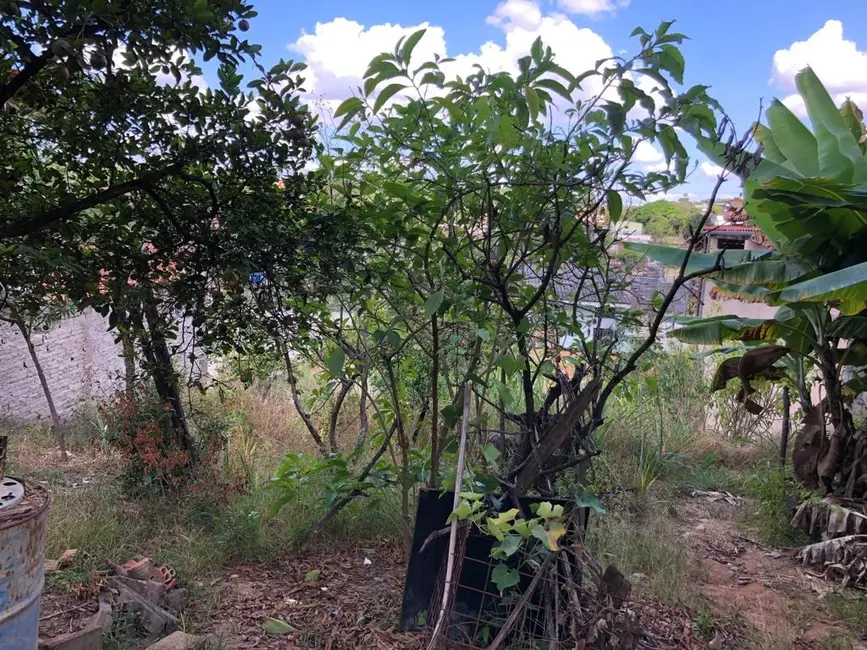 Terreno / Lote à venda, 360m2 em Ribeirao Das Neves - MG - imagem 4 Foto 4 de Terreno / Lote à venda, 360m2 em Ribeirao Das Neves - MG