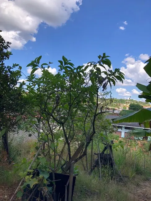 Terreno / Lote à venda, 360m2 em Ribeirao Das Neves - MG - imagem 5 Foto 5 de Terreno / Lote à venda, 360m2 em Ribeirao Das Neves - MG