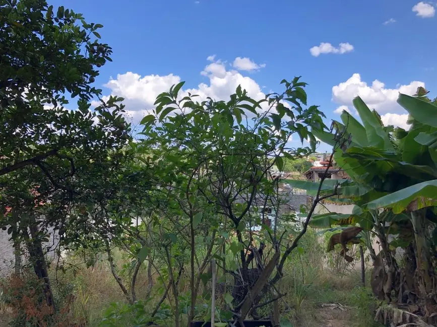 Terreno / Lote à venda, 360m2 em Ribeirao Das Neves - MG - imagem 3 Foto 3 de Terreno / Lote à venda, 360m2 em Ribeirao Das Neves - MG