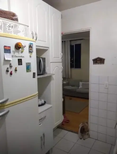 Apartamento com 3 quartos à venda, 77m2 em Belo Horizonte - MG - imagem 3 Foto 3 de Apartamento com 3 quartos à venda, 77m2 em Belo Horizonte - MG