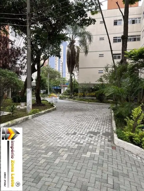 Apartamento com 3 quartos à venda, 72m2 em Vila Alpina, São Paulo - SP - imagem 8 Foto 8 de Apartamento com 3 quartos à venda, 72m2 em Vila Alpina, São Paulo - SP